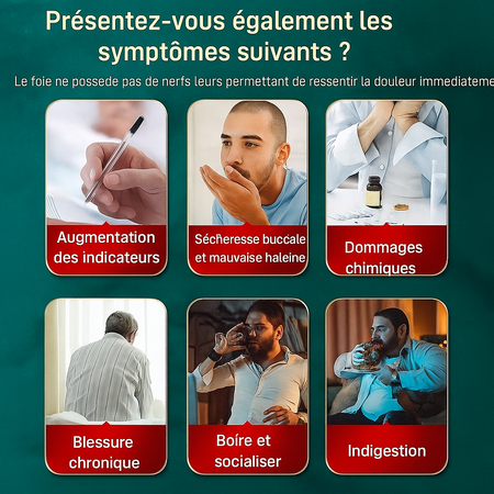 Thé détox DU FOIE 18 SAVEURS (une BOITE = 30 SACHETS )